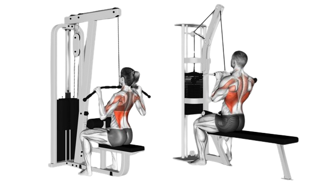 Should you use a wide or neutral grip for lat pulldowns?