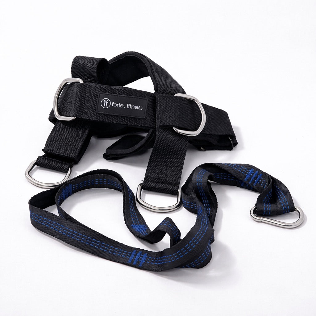 Adjustable Head and Neck trainer, Neck Strength Harness for Combat Sports & Rehabilitation