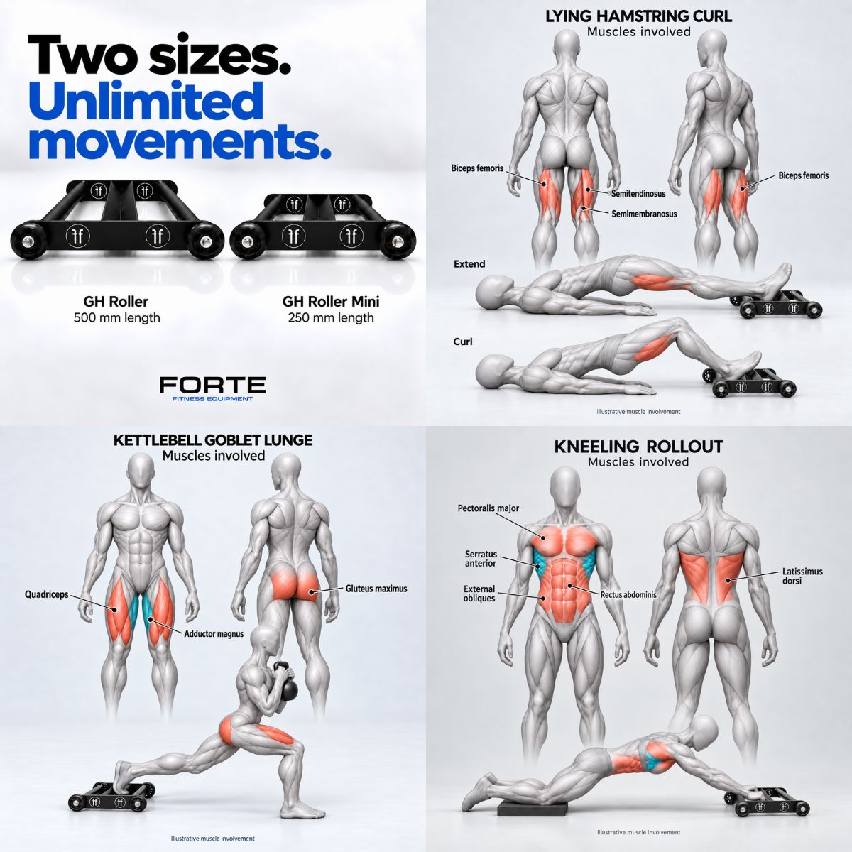 GH Roller - Glute Ham Roller for Core, Abs & Posterior Chain training