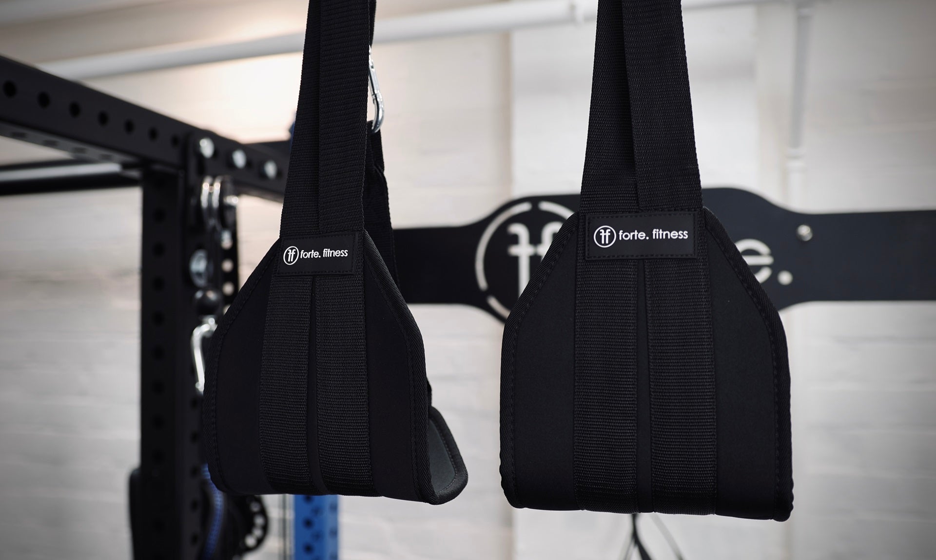 Hanging Ab Sling Straps for Core Strength & Stability Training